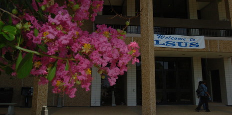 LSUS